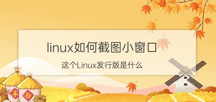 linux如何截图小窗口 这个Linux发行版是什么？